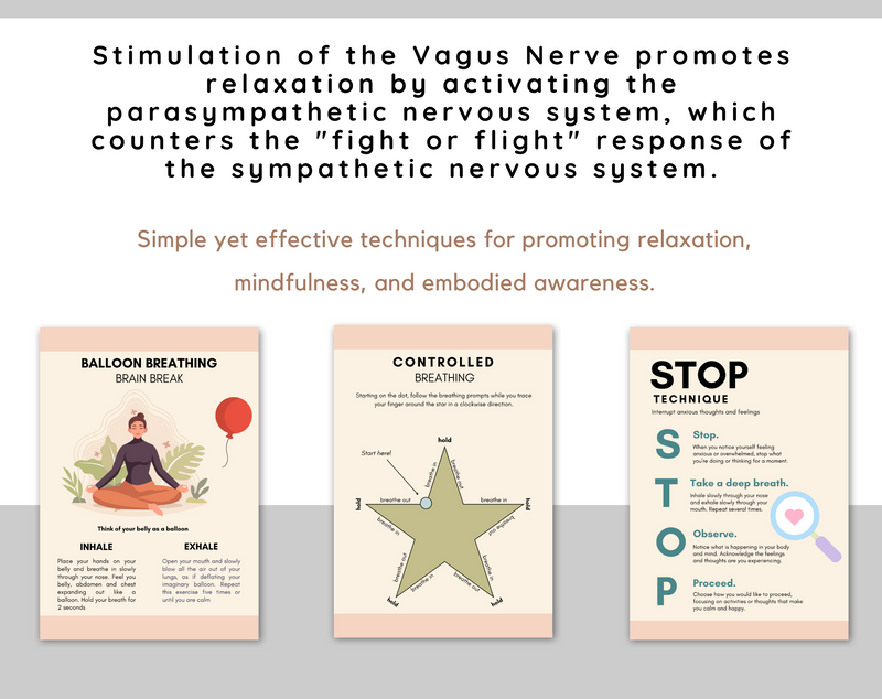 nervous system regulation worksheets